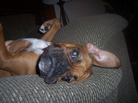 Silly girl
