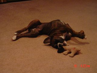 silly girly