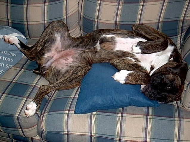 Silly Sleepy girl!
