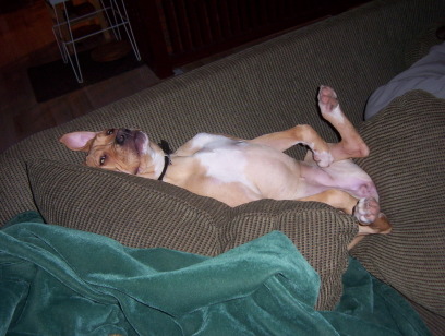 Silly sleepy girl