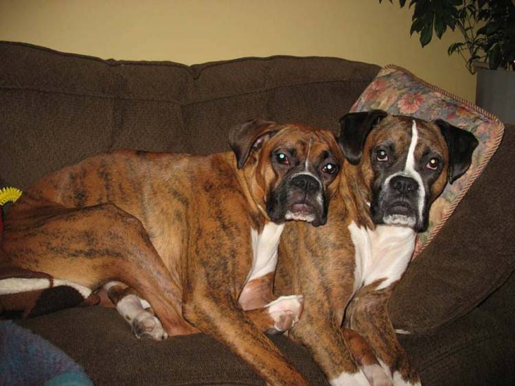 Simon & Fiona, best friends!