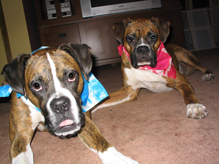 Simon & Fiona Posing for  Auntie Karen!