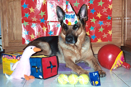 Simon's 5th Birthday