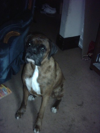 Sinbad