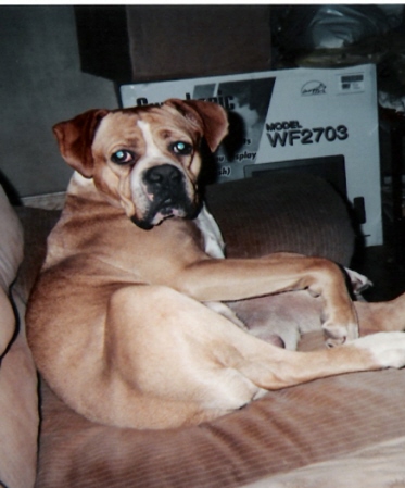 since you woke me, can I help you?