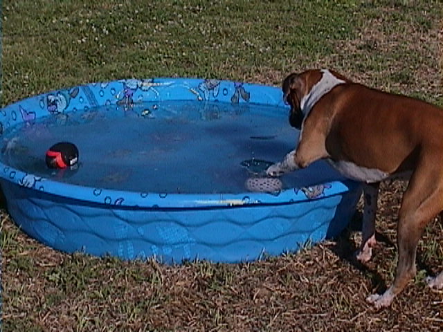 Sink the ball, Sink the ball