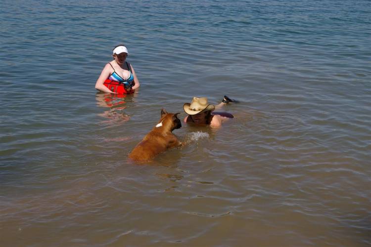 Siren loves the lake