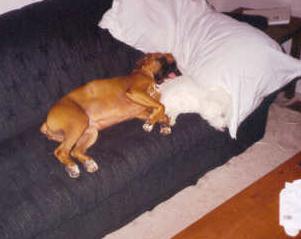 sis makes a good pillow
