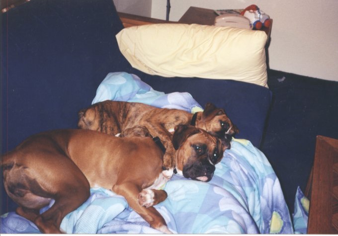 Sisters at heart.