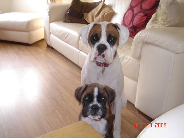 Sisters