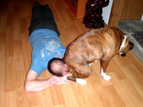Sit Rosco Sit
