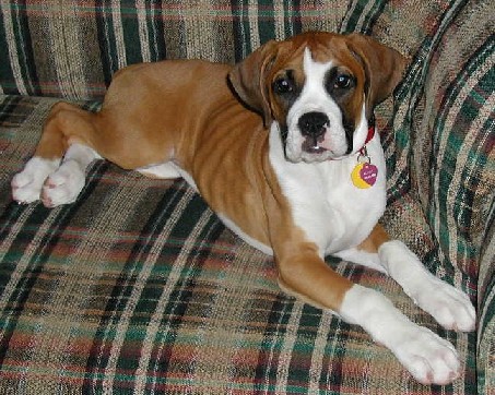 Sittin around on the couch