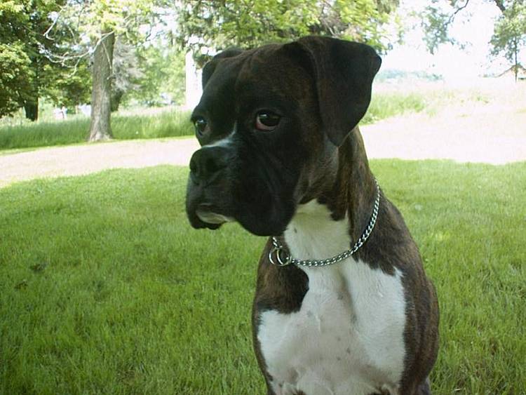 Sittin' in the shade