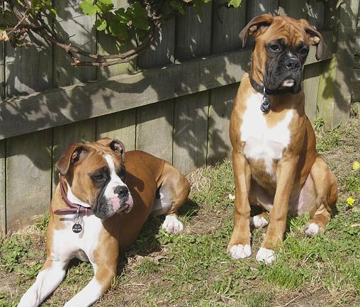 Sittin' in the sun