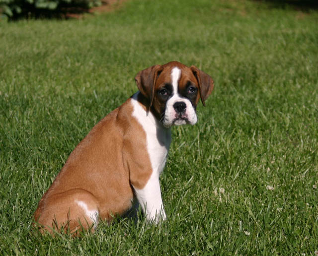sittin' in the yard