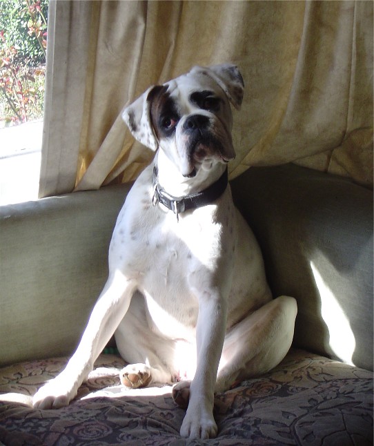 Sittin on my butt in the sun