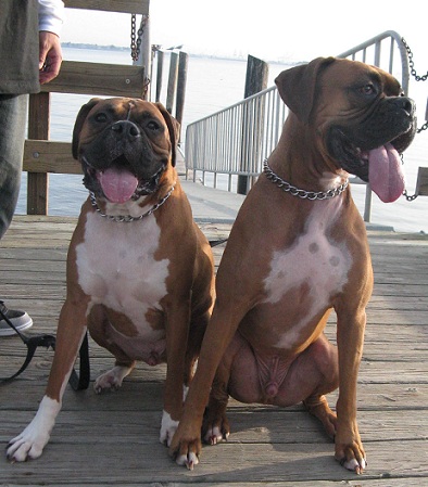 Sittin on the dock of the bay....