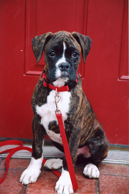 Sittin' on the front step.