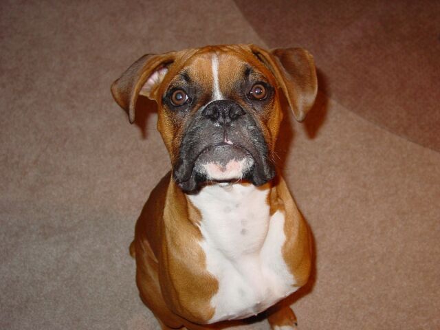 Sittin Pretty For Mom