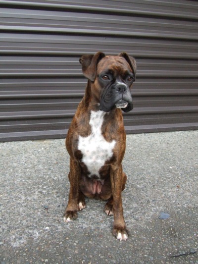 Sitting nicely for a photo
