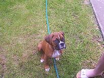 sitting now wheres the treat!