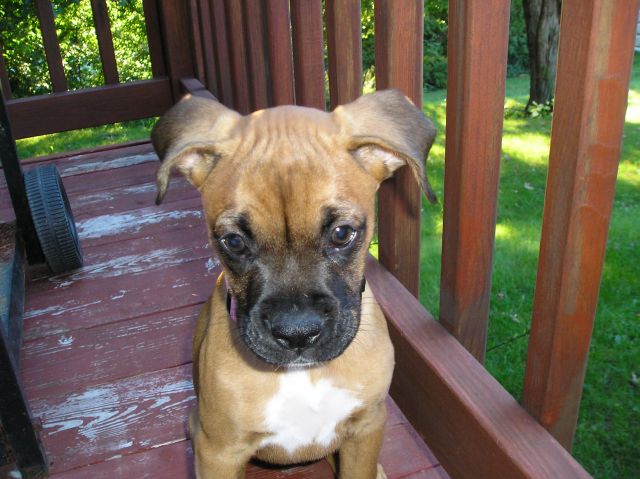 sitting on the deck