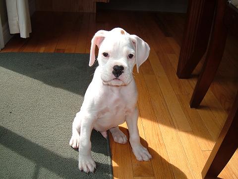 Sitting pretty.......for a split second!