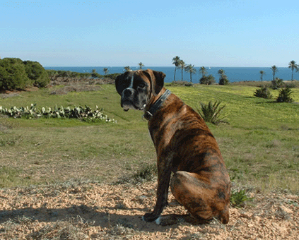 Sitting pretty in the sun