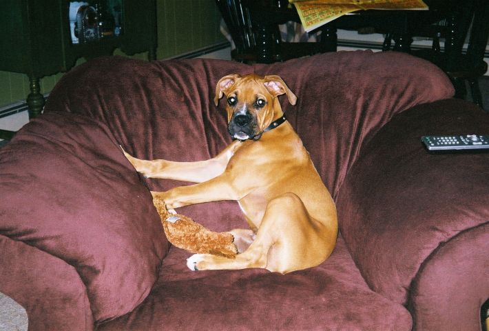 Sitting Pretty