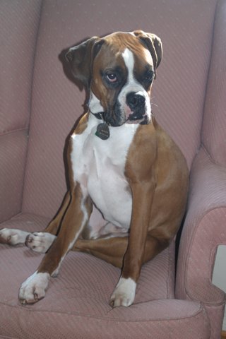 Sitting pretty