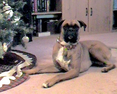 Sitting Pretty