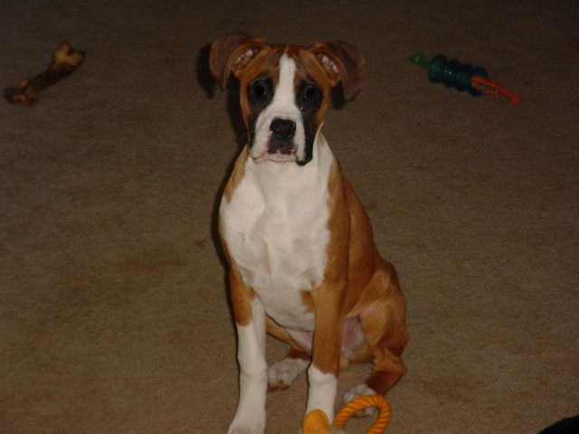 Sitting pretty