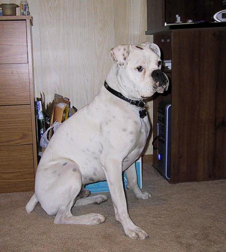 Sitting Pretty
