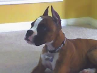 Sitting pretty