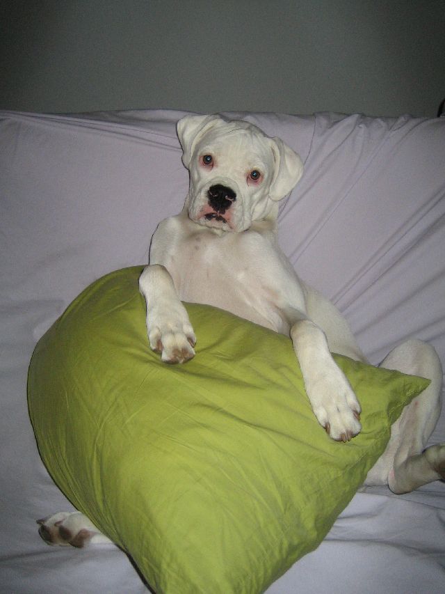 Sitting pretty.