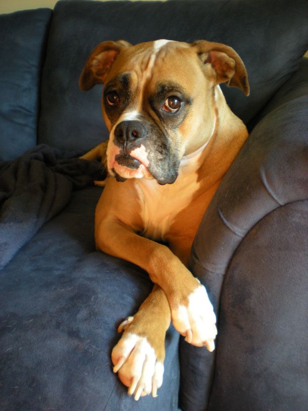 Sitting Pretty