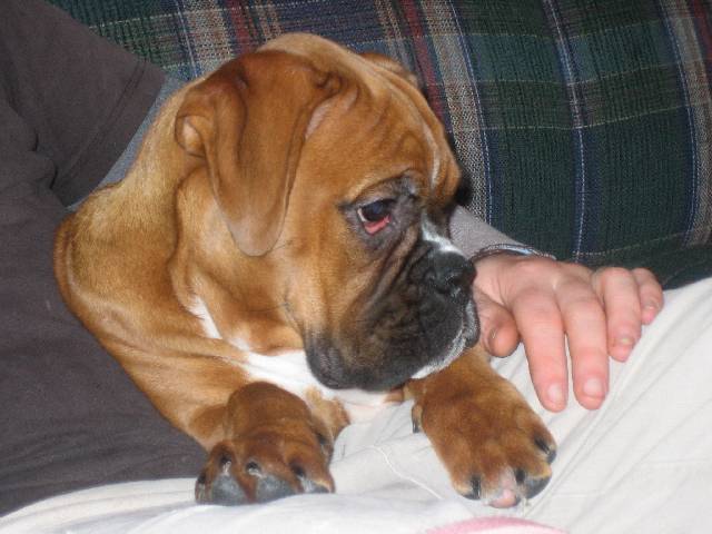 sitting with dad