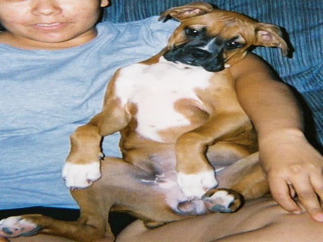 sitting with mommy