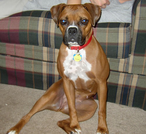 Sitting