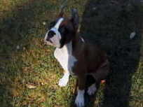 sitting_on_the_grass