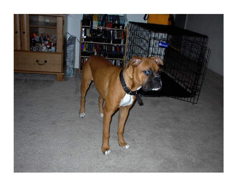 Six Months Old and Huge