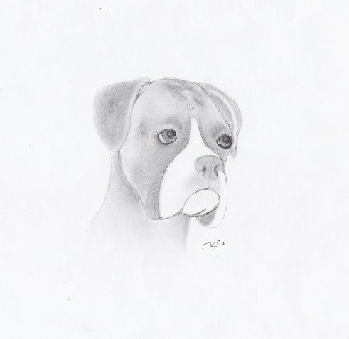 Sketch