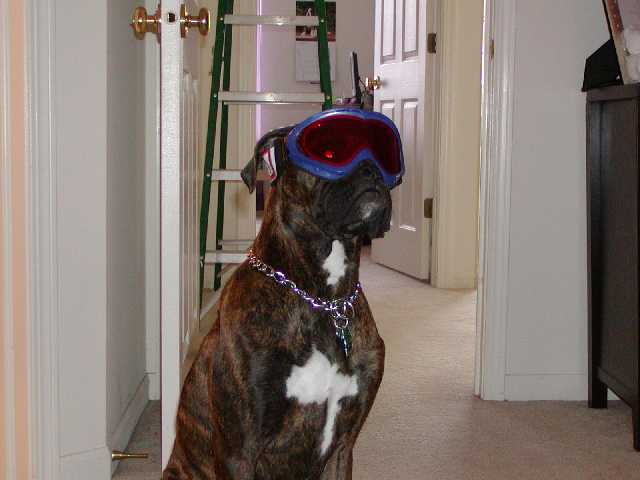 Ski patrol coming through.