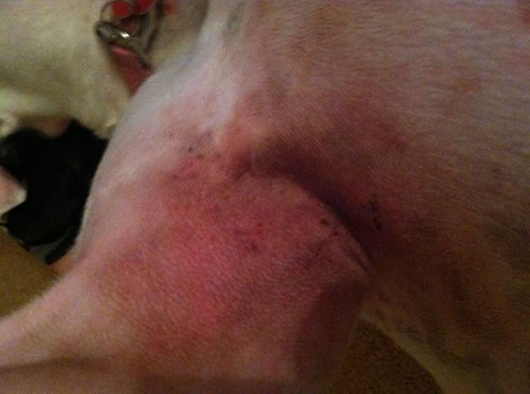 Skin irritation
