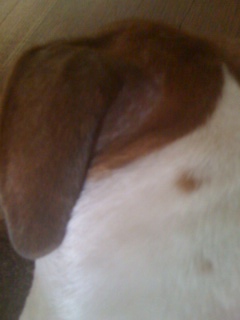 Skin Issues