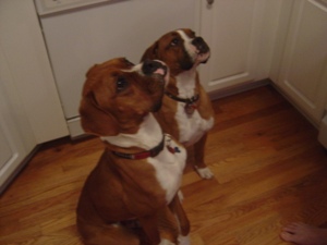 Skippy & Lilly