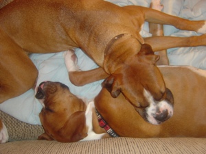 Skippy & Lilly