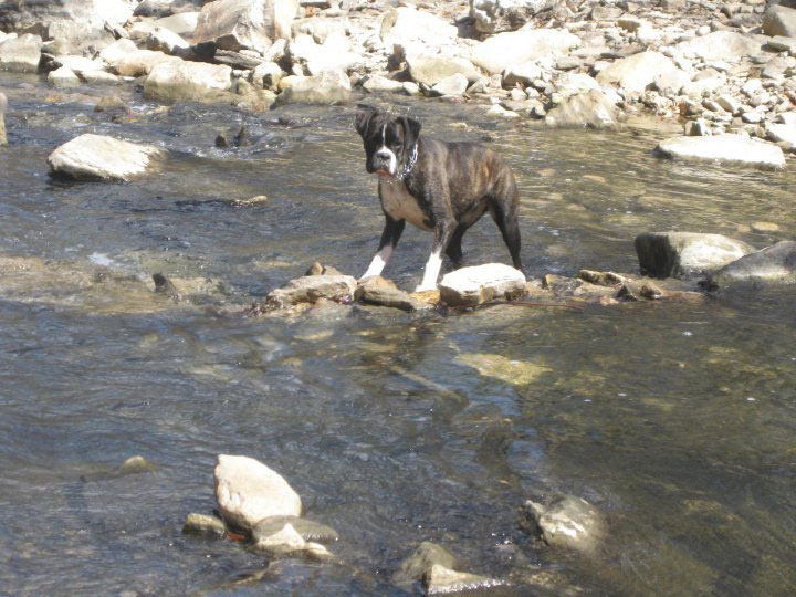 Skylar In The Creek