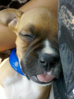 sleeepyy