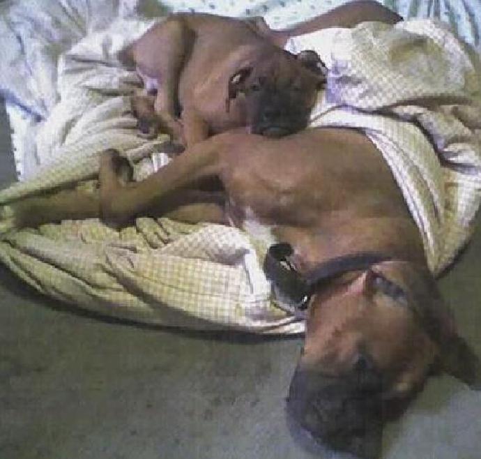 Sleep Time lol